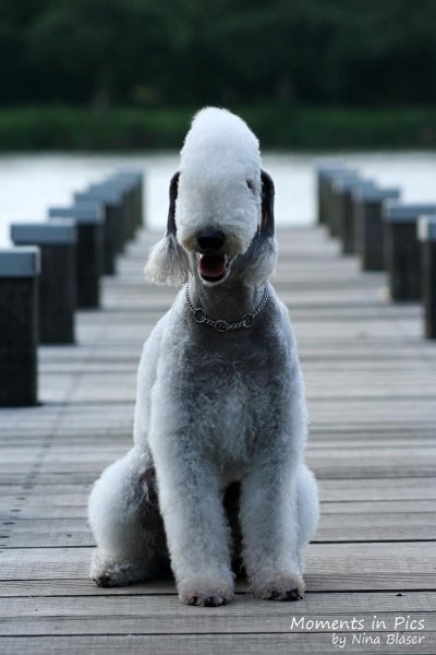 2010-06-14 Airis Blue Volshebny Svet (13).jpg